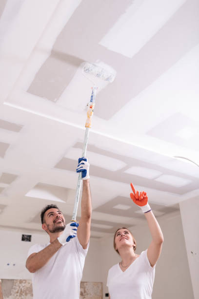 Professional Mold Removal in Berry College, GA