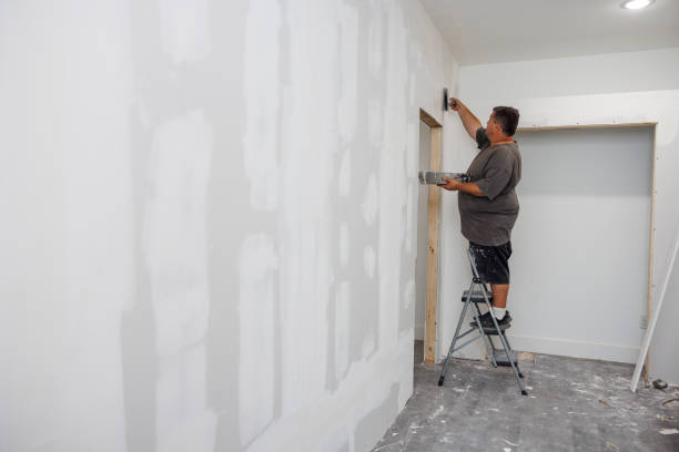 Best Mold Odor Removal Services  in Berry College, GA