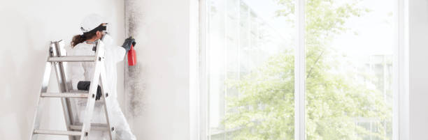 Best Mold Documentation for Insurance Claims  in Berry College, GA